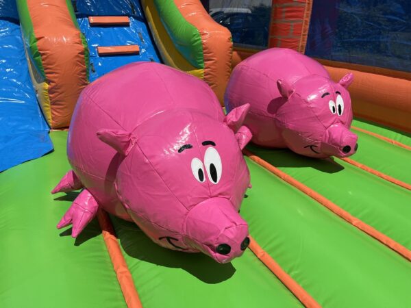 Parc ferme gonflable avec des cochons