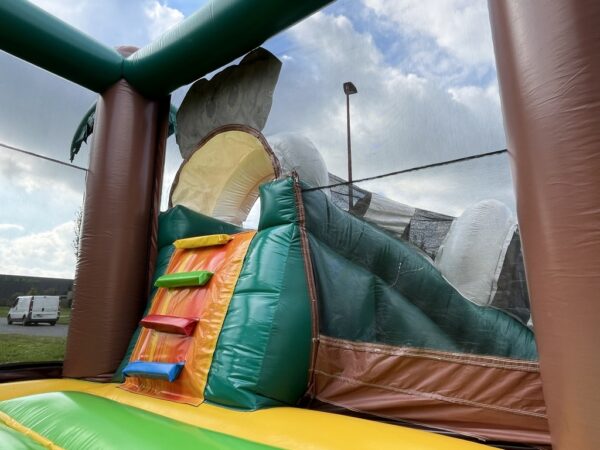 Château gonflable pas cher lion toboggan.